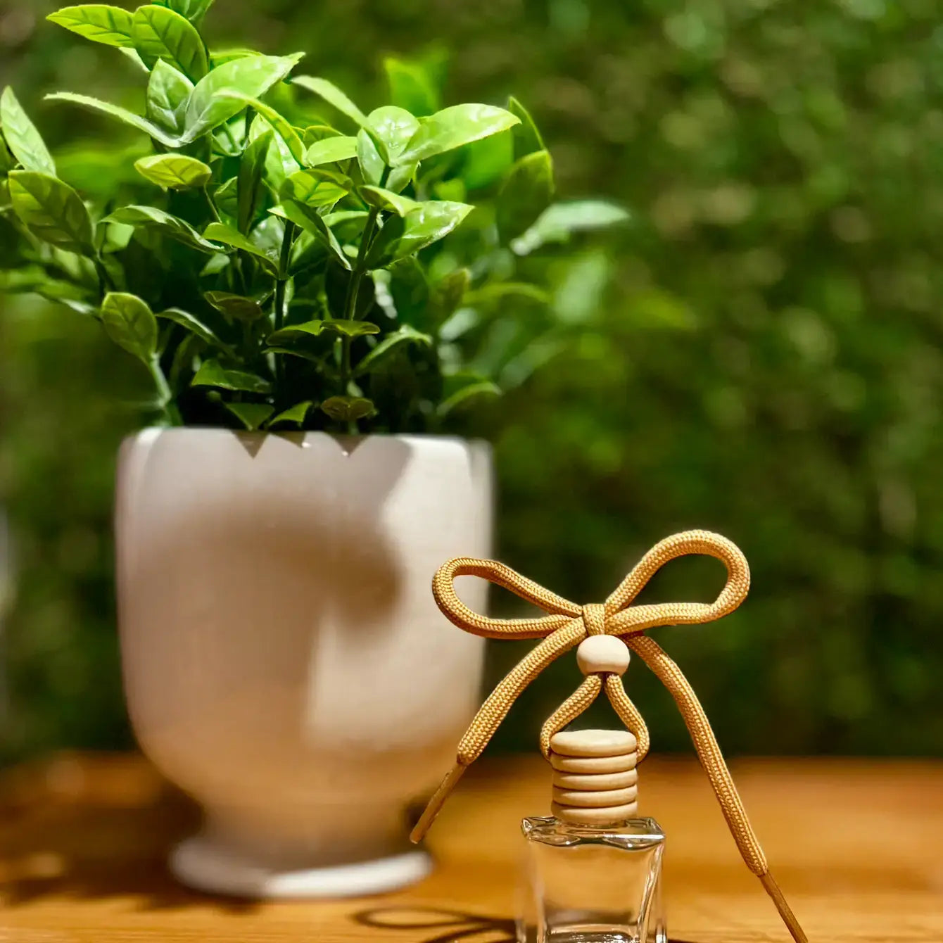 Diva/Main Character Energy Car Diffuser